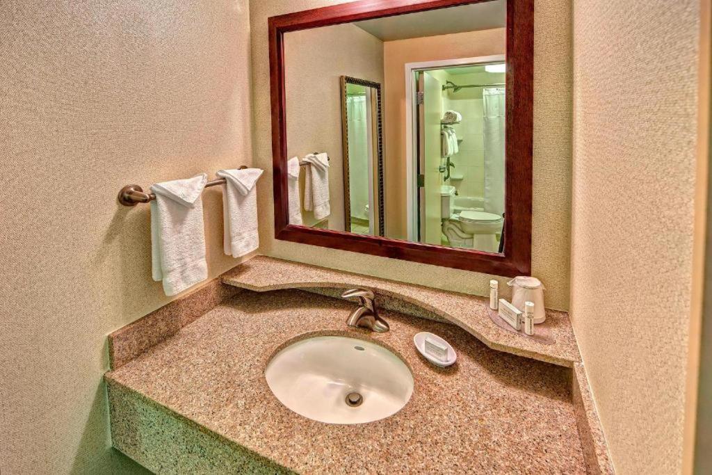 Springhill Suites Norfolk Old Dominion University Extérieur photo